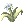 Vital Flower (Blue)