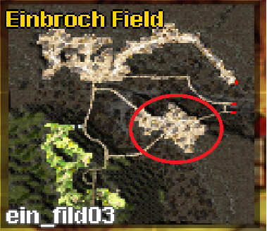 ein_fild03